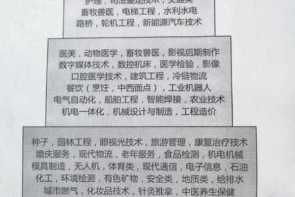 金命人适合学习的专业：职业发展的最佳选择