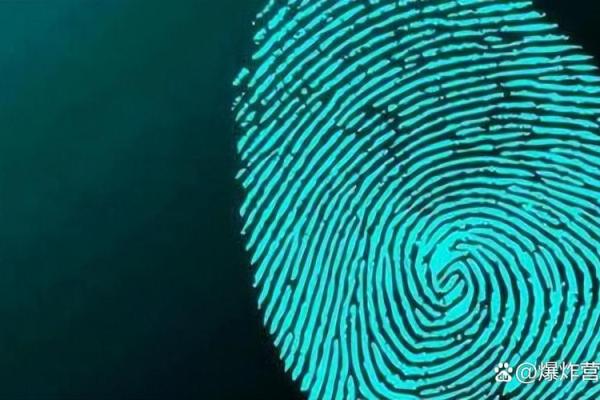 手纹中的“簸箕”象征什么?揭示神秘命运之旅! 手纹中的“簸箕”象征什么?揭示神秘命运之旅!