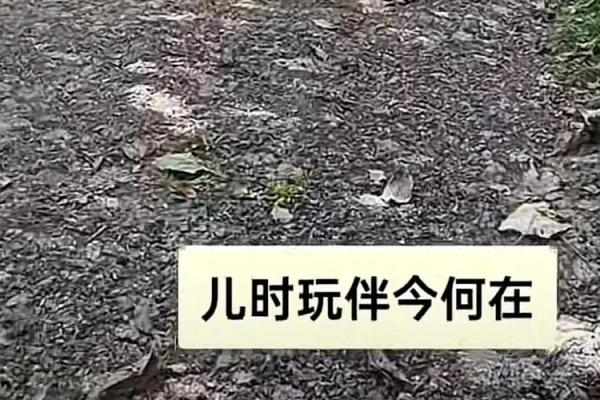 探索命运之谜：如何识别你的命里犯了什么？