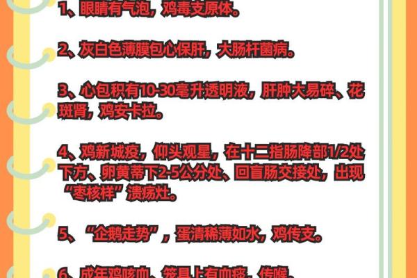 1955属鸡的命运与性格特点探秘