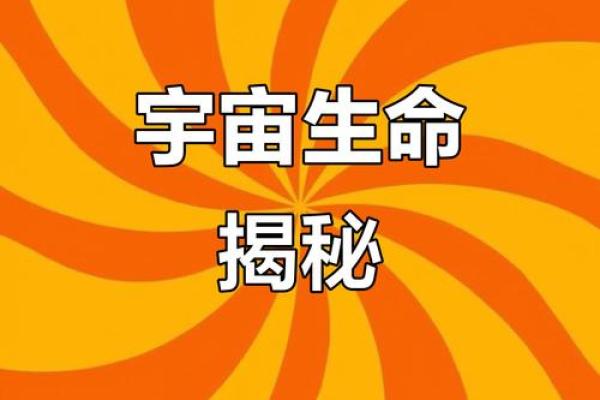 窥探命里玄机,揭示生命背后的奥秘 窥探命里玄机,揭示生命背后的奥秘