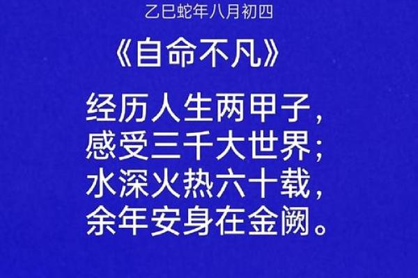 命运的乐章：探寻《命二运》背后的哲学与人生