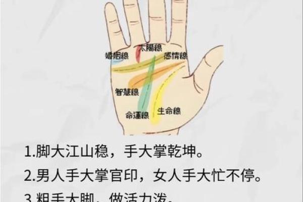 2015年何命纳音分析：探寻命运背后的秘密与智慧