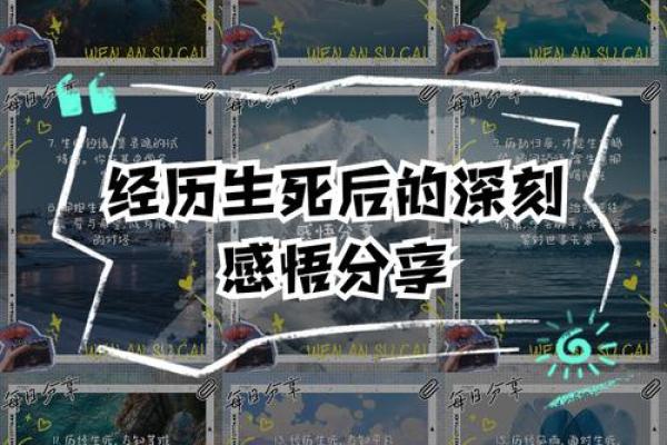 伤了命:领悟生命的脆弱与珍贵 伤了命:领悟生命的脆弱与珍贵