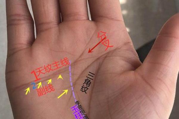 手掌纹少的人:命运与个性深度解析! 手掌纹少的人:命运与个性深度解析!