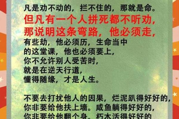 命里有时，命里无时：探索命运的玄妙与惊喜
