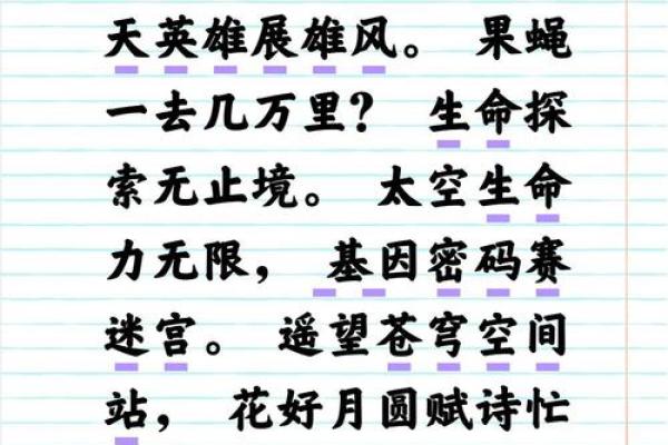 探寻1009年命人的神秘与寓意，揭开历史长河中的一段佳话