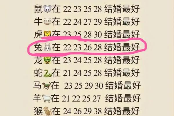 1999年的兔年命理解析:幸福与机遇的象征 1999年的兔年命理解析:幸福与机遇的象征