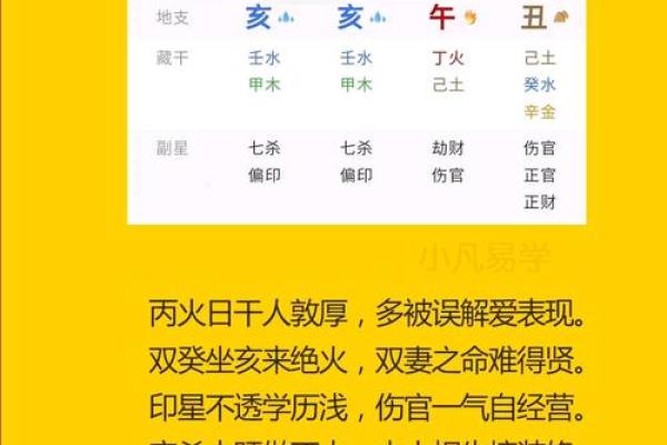 丙寅炉中火：探寻命理中的热情与生命力