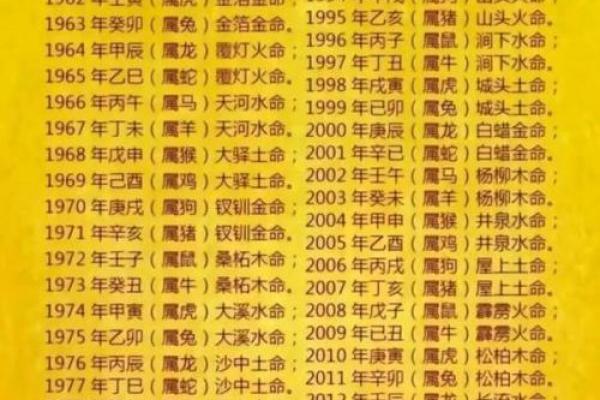 2018年出生的狗狗命运解析:探秘它们的性格与运势 2018年出生的狗狗命运解析:探秘它们的性格与运势