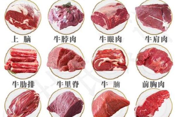 如何通过命格了解少吃牛肉的必要性与好处 如何通过命格了解少吃牛肉的必要性与好处