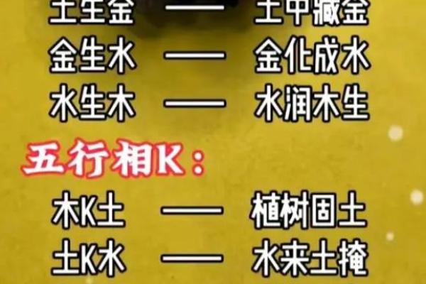木命人适合学习的技术与发展方向探讨 木命人适合学习的技术与发展方向探讨