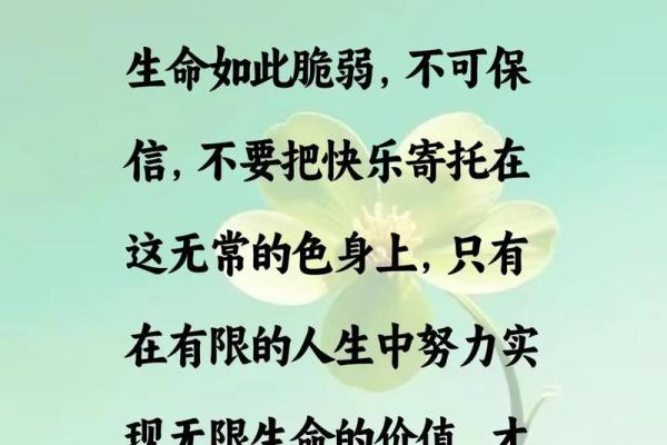 以命换命:在逆境中品味生命的价值与意义 以命换命:在逆境中品味生命的价值与意义