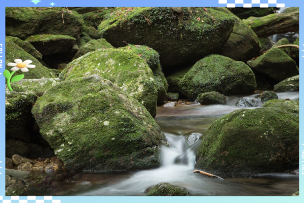 冬月水龙命的特质与缺失:探索命理的奥秘与补救之道 冬月水龙命的特质与缺失:探索命理的奥秘与补救之道