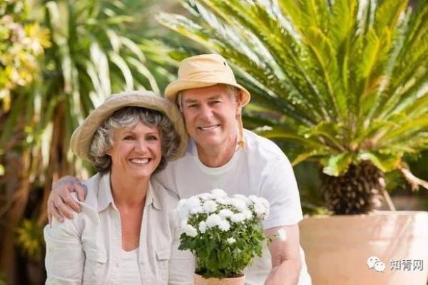 沙中土命：颜色选择与生活的智慧