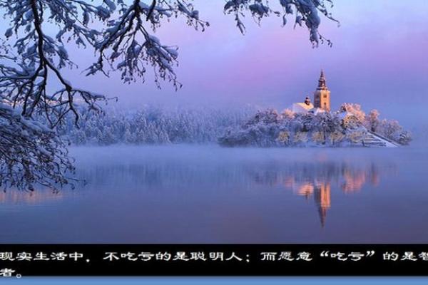 沙中土命：颜色选择与生活的智慧