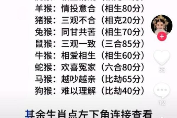 虎年土命与生肖配合探讨：寻找最佳伴侣的智慧之旅