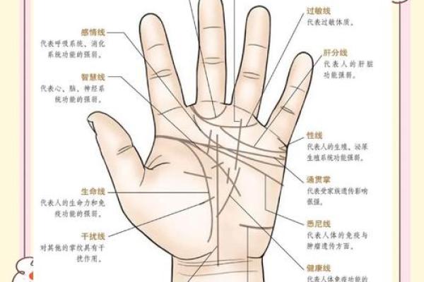 手上凸起的人是什么命:揭秘掌纹中隐藏的命运密码 手上凸起的人是什么命:揭秘掌纹中隐藏的命运密码