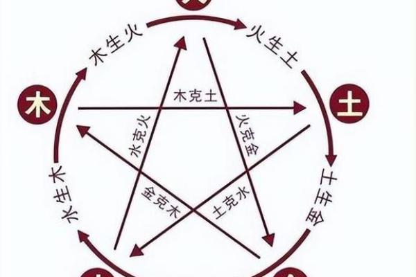 如何通过五行判断个人命理：木命与水命的深度解析
