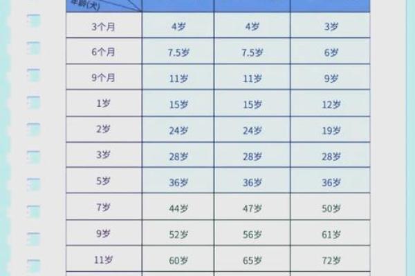 2008年狗年出生男孩的命运解析与发展建议