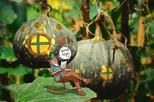 1972年属鼠的水命解析：凝聚智慧与力量的生命轨迹