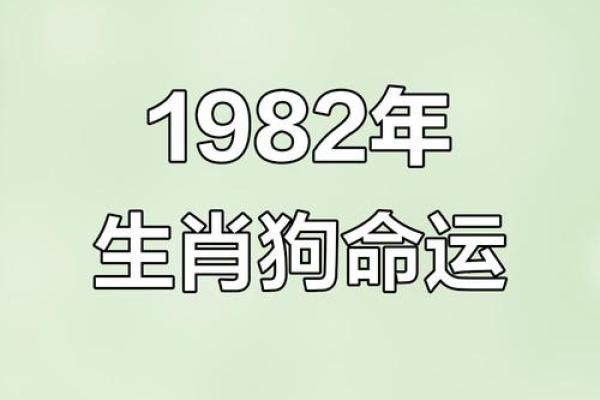 1985年属狗的命运与性格剖析：八字解读与人生启示