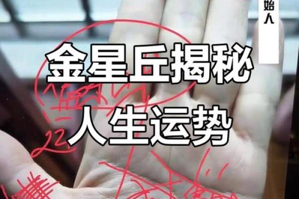 从手纹看命运：揭示你人生的秘密
