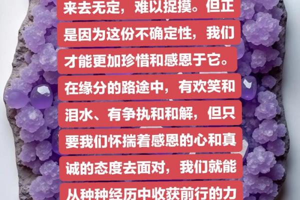 探索己卯日的命理智慧：揭示命运背后的秘密与方向