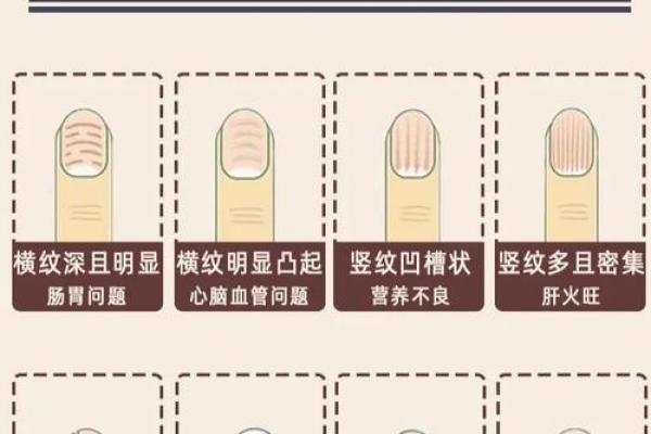 手指指甲短小，命运与性格的微妙关系