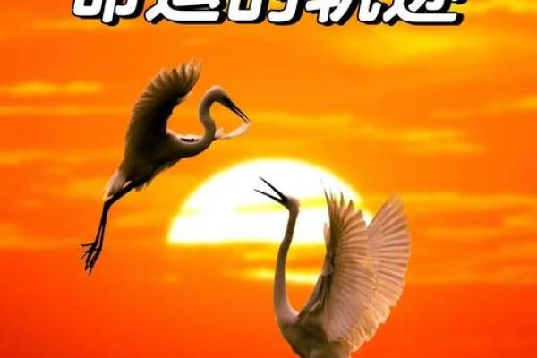 相信什么样的人，决定了你的人生轨迹与命运走向