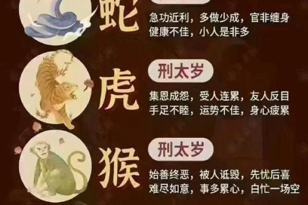 2024牛年：福气满满的龙命有何特别之处？