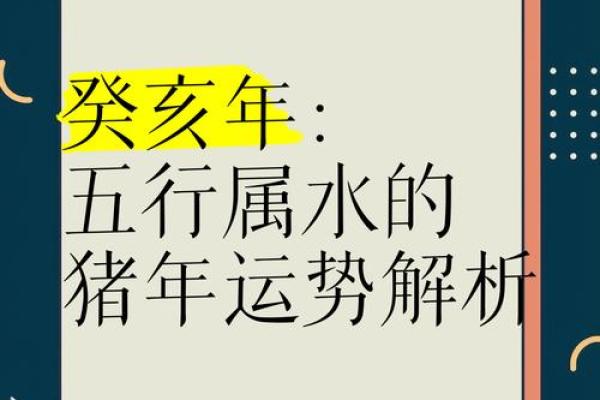 癸亥命与生肖的完美搭配，揭示命理奥秘！