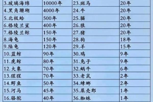 高头小脚命:那些独特动物所象征的生命哲学 高头小脚命:那些独特动物所象征的生命哲学