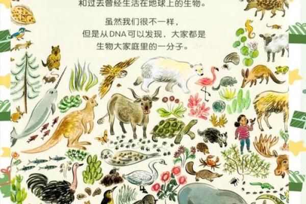 高头小脚命:那些独特动物所象征的生命哲学 高头小脚命:那些独特动物所象征的生命哲学