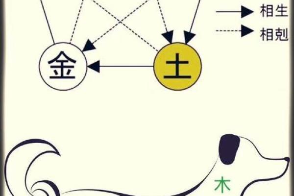 探索狗的命运与五行属性：揭秘你的爱犬背后的奥秘