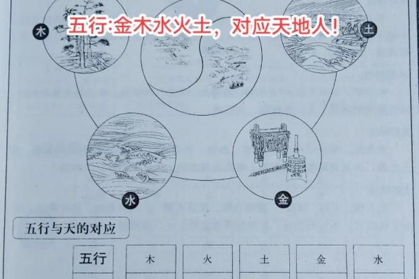 五行土命探秘：了解五种土命格，发掘人生潜能