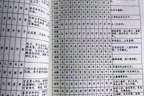 算命夫子的命理智慧与人生启示