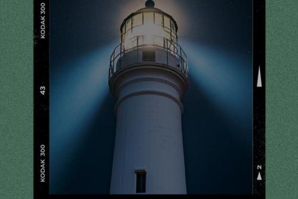 命运与选择：掌握人生的主动权，成就辉煌未来