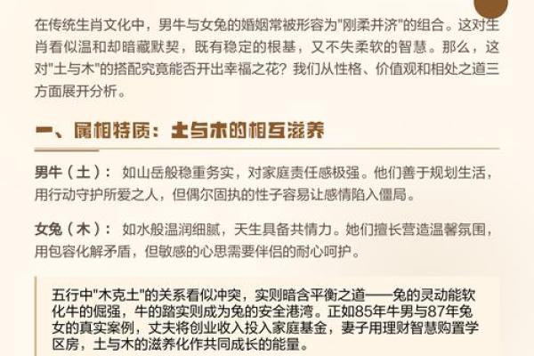 探索金马命与生肖婚配的秘密：最佳伴侣揭秘