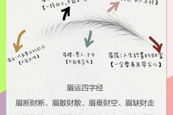 眉毛好的人是什么命？探秘眉毛与命运的神秘联系！