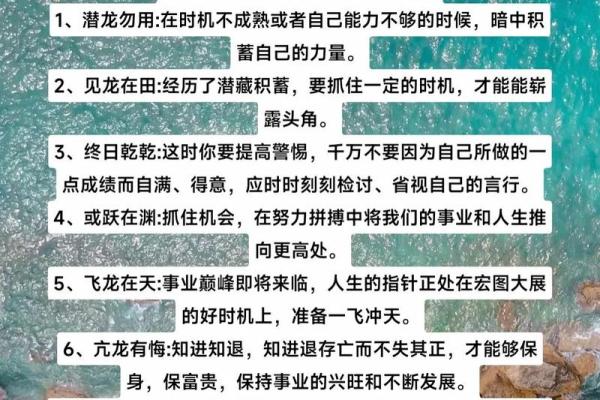 路旁土命的最佳发展方向与生活方式探讨