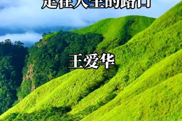 探寻97年正月十七出生者的命运与人生轨迹