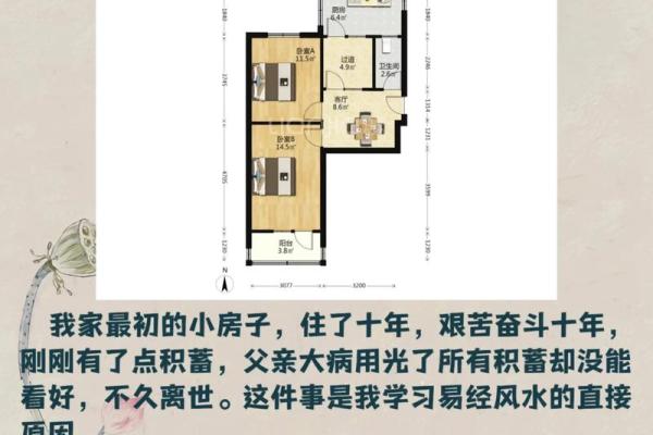 1980年出生的人适合住什么房？命理与居住环境的完美结合