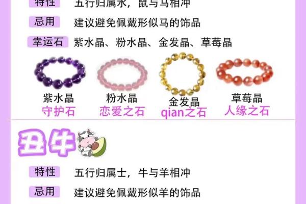 如何分辨鼠的命运与性格，揭示你的鼠年特质！