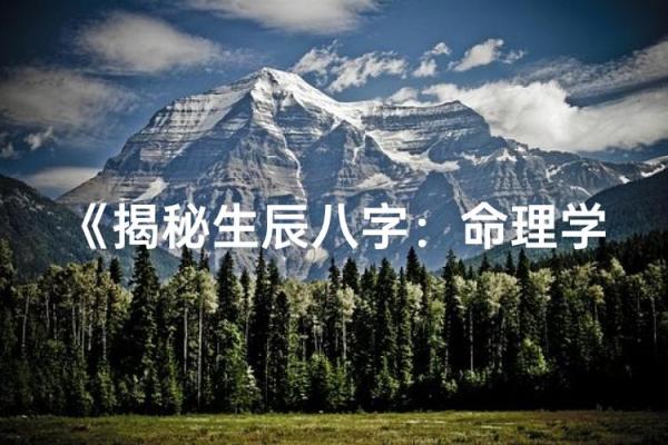 算命与卜卦：探究命理与未来的奥秘