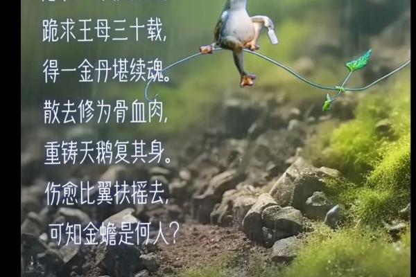 一命换一命的故事：生与死之间的抉择与希望