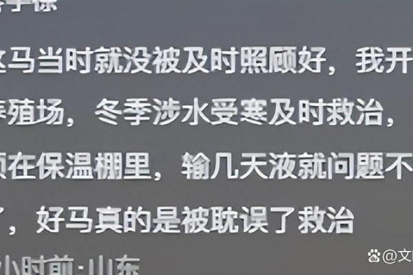 一命换一命的故事：生与死之间的抉择与希望