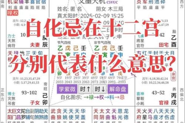 农历1018年的属命解读：古老智慧与现代生活的结合