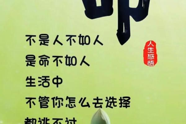 八命数字之谜:揭开人生的命运与运势之关系 八命数字之谜:揭开人生的命运与运势之关系