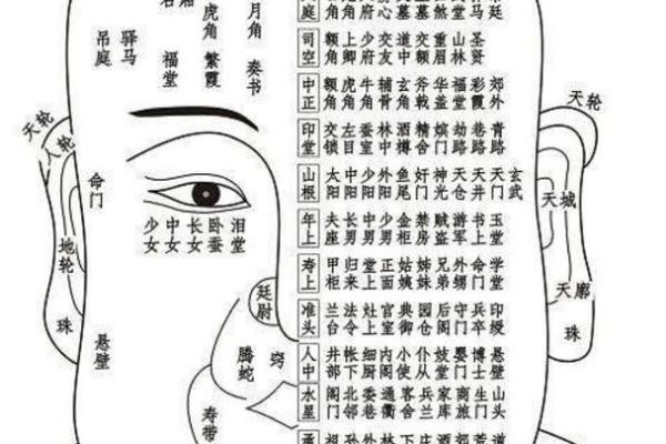 揭示军人面相:从面部特征看其性格与命运 揭示军人面相:从面部特征看其性格与命运